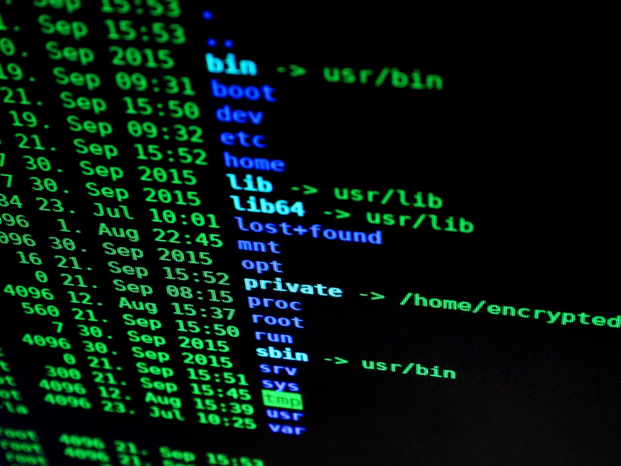 “I Accidentally Processed ‘*.txt’ as a File” — How to Safely Loop Over Files in Bash When No Matches Exist